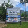 6. 둔촌사거리 보성중고 잎