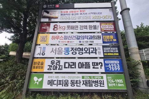 잠실종합운동장 사거리 앞(실내체육관 방향)