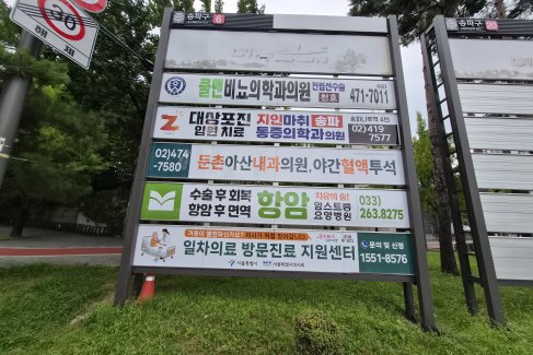 둔촌사거리 보성중고 잎