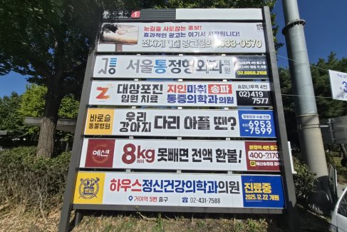 잠실종합운동장 사거리 앞(실내체육관 방향)