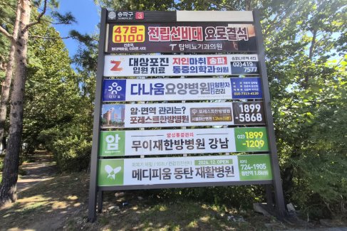 올림픽대교 남단사거리(남단 유슈지 앞)