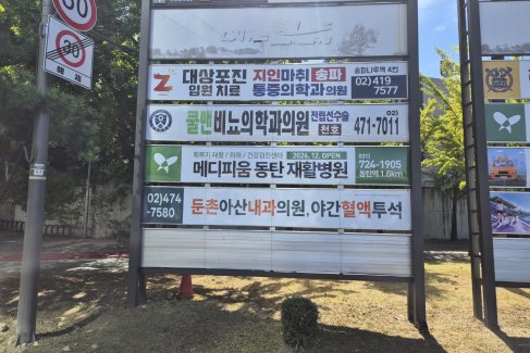 둔촌사거리 보성중고 잎