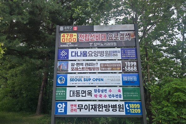 3. 올림픽대교 남단사거리(남단 유슈지 앞) 사진