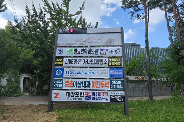 6. 둔촌사거리 보성중고 잎 사진